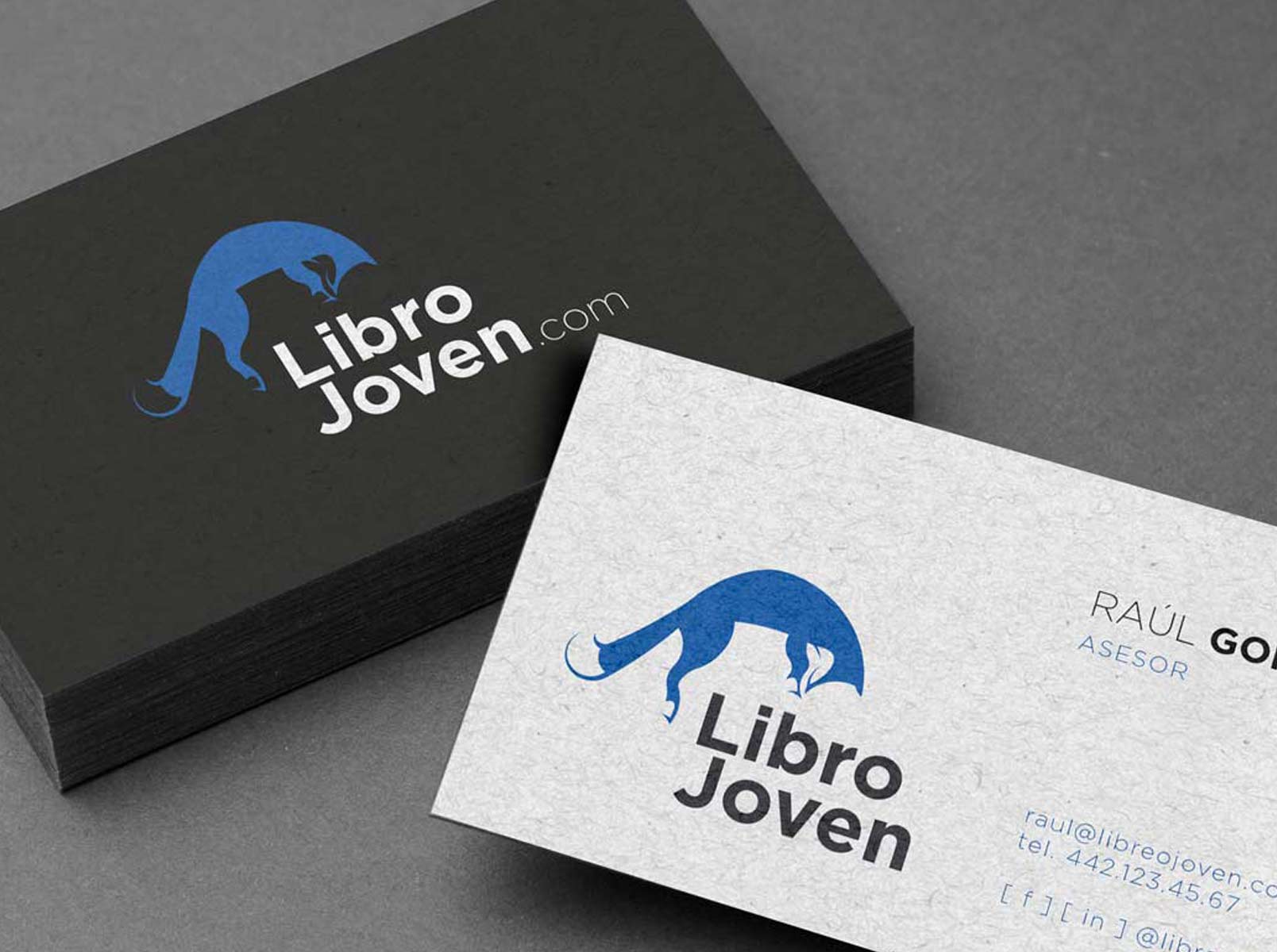 LIBRO JOVEN