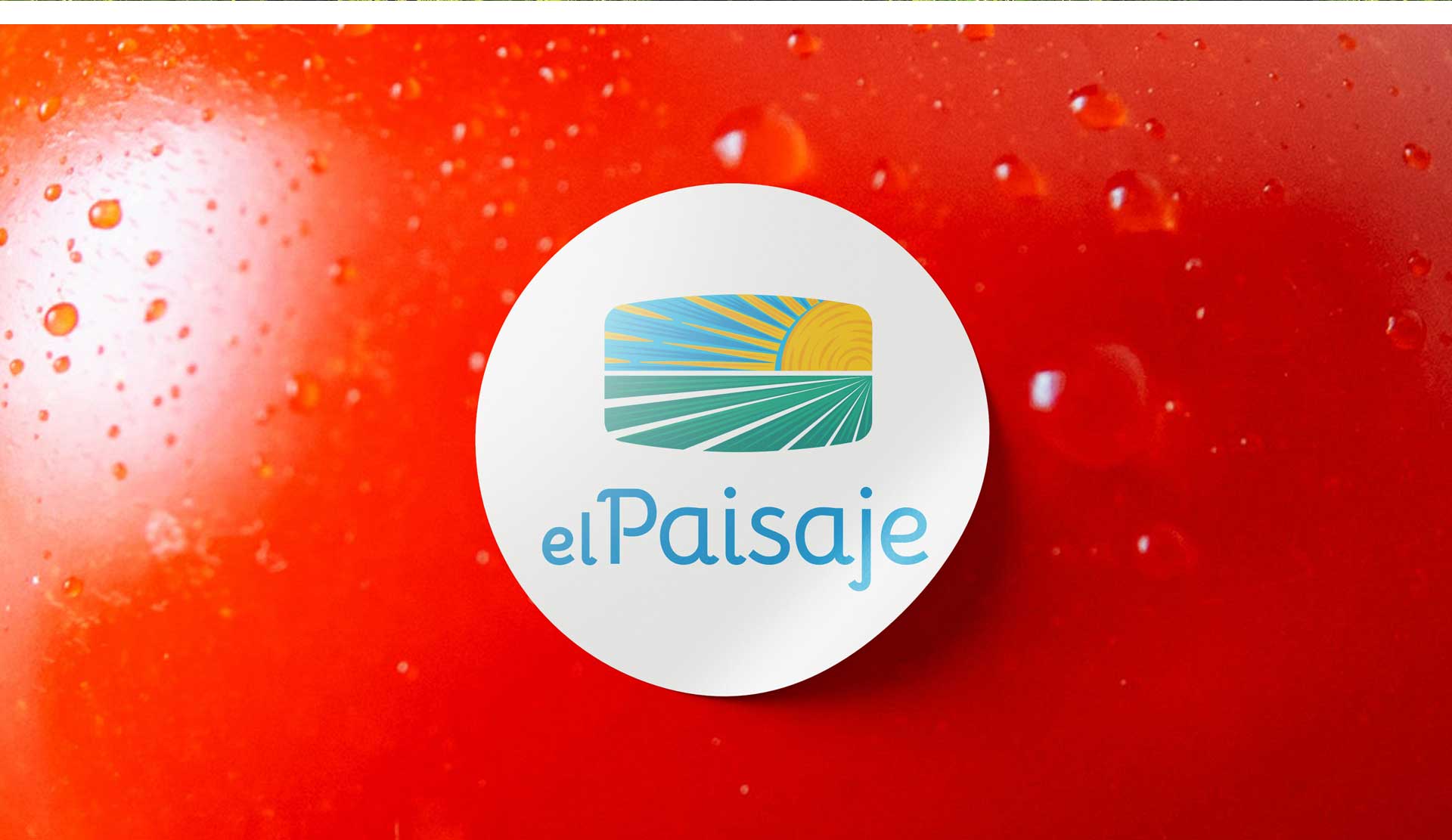 el paisaje